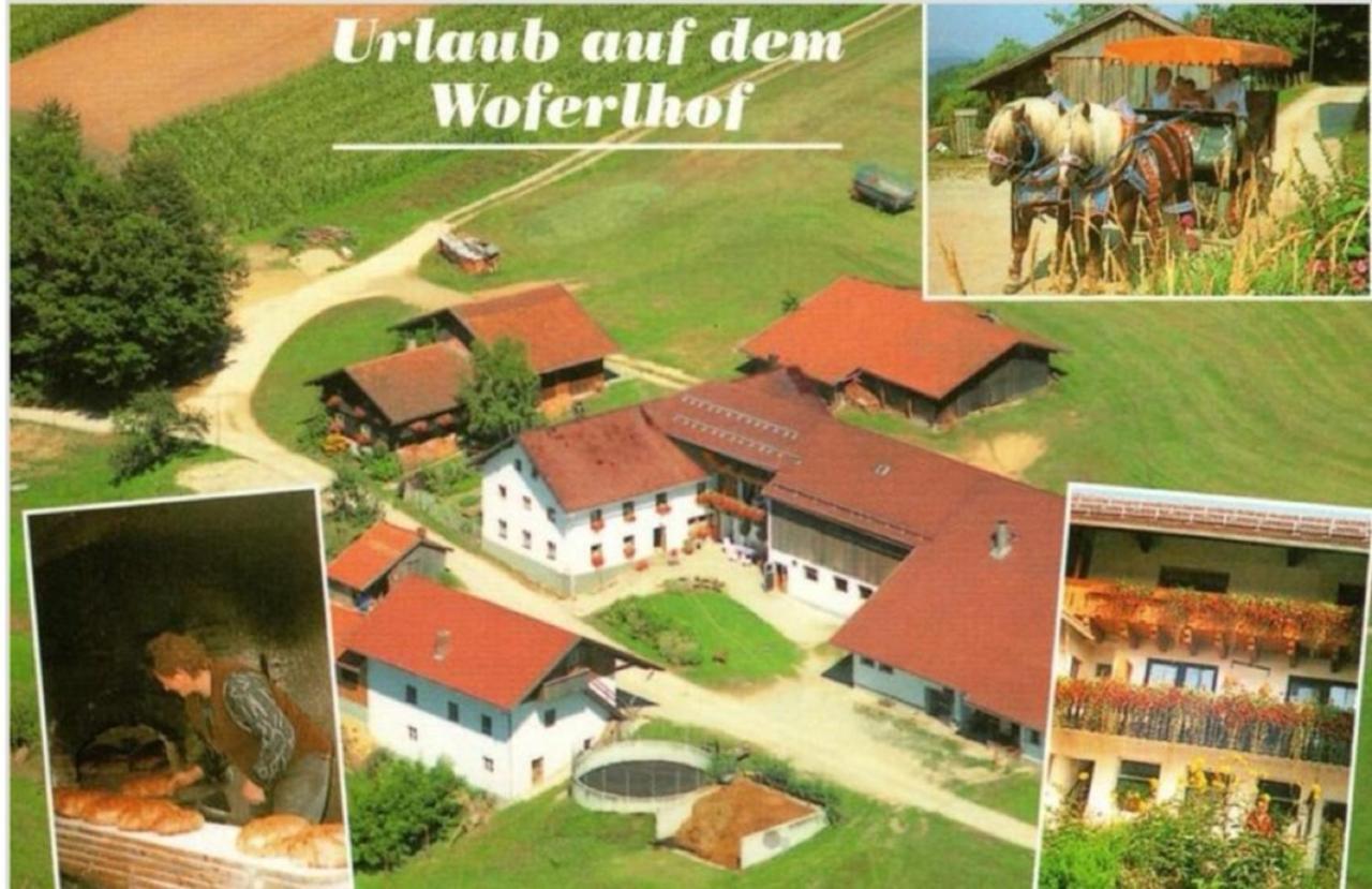 Woferlhof, Ferienhof Boxhorn Bobrach ภายนอก รูปภาพ
