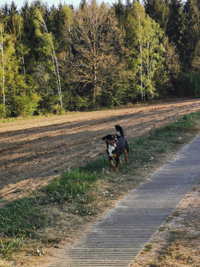 Woferlhof, Ferienhof Boxhorn Bobrach ภายนอก รูปภาพ