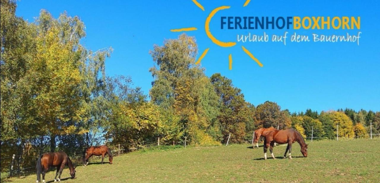 Woferlhof, Ferienhof Boxhorn Bobrach ภายนอก รูปภาพ