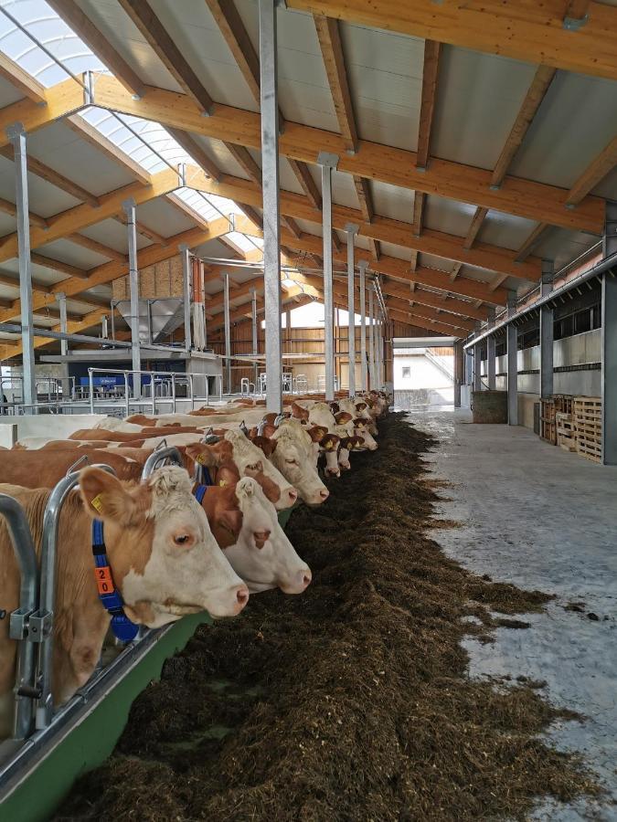 Woferlhof, Ferienhof Boxhorn Bobrach ภายนอก รูปภาพ